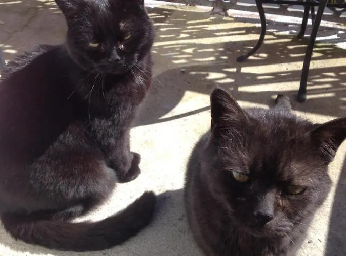 Bed & Breakfast Le Petit Monde